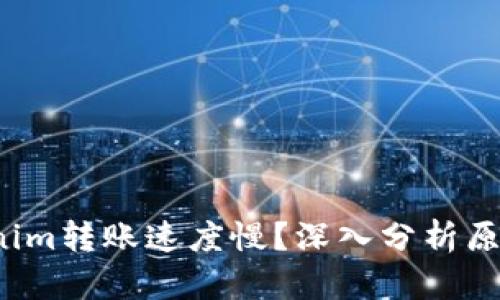  为什么Tokenim转账速度慢？深入分析原因与解决方案