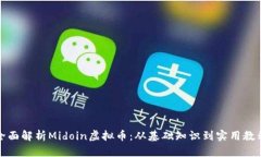 全面解析Midoin虚拟币：从