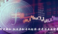 深度揭秘：纳西虚拟币的