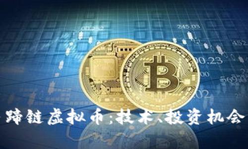 全面解析马蹄链虚拟币：技术、投资机会与市场前景