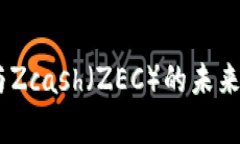 深入剖析：TokenIM与Zcash（