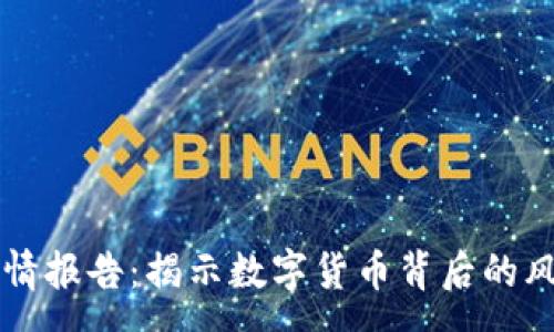 : 
虚拟币警情报告：揭示数字货币背后的风险与对策