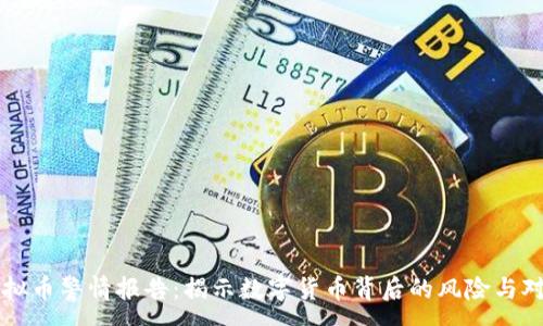 : 
虚拟币警情报告：揭示数字货币背后的风险与对策