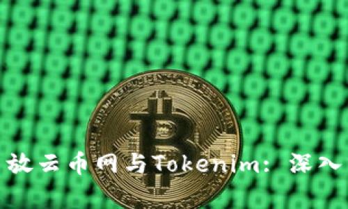 如何选择币放云币网与Tokenim: 深入分析与比较