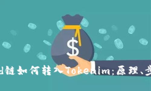 :深入探讨Send链如何转入Tokenim：原理、步骤与应用前景