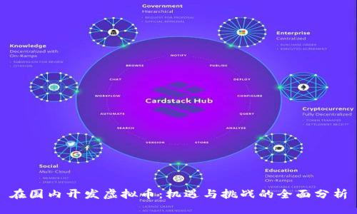 在国内开发虚拟币：机遇与挑战的全面分析