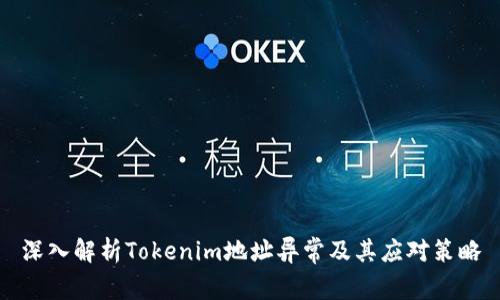深入解析Tokenim地址异常及其应对策略