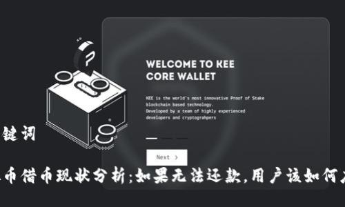 与关键词

虚拟币借币现状分析：如果无法还款，用户该如何应对？