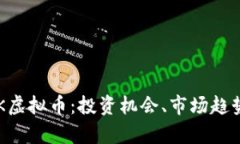 全面解析LBK虚拟币：投资