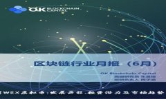 详解WRX虚拟币：发展历程
