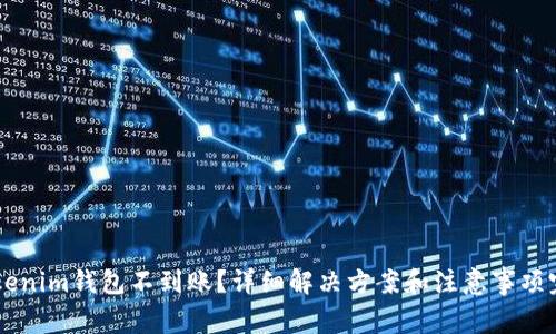 币转Tokenim钱包不到账？详细解决方案和注意事项完全解析