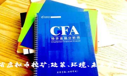 云南省虚拟币挖矿：政策、环境、未来发展及挑战