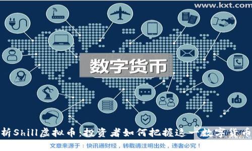 全面解析Shill虚拟币：投资者如何把握这一数字货币新机会