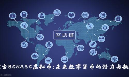 探索BCHABC虚拟币：未来数字货币的潜力与挑战