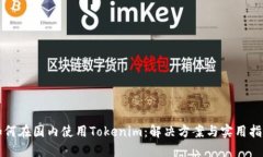 如何在国内使用Tokenim：解