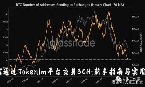 :如何通过Tokenim平台交易BCH：新手指南与实用技巧