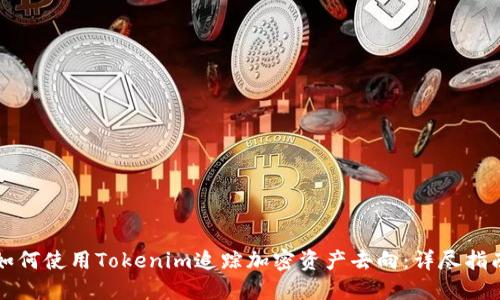 如何使用Tokenim追踪加密资产去向：详尽指南