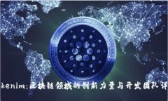 Tokenim：区块链领域的创新