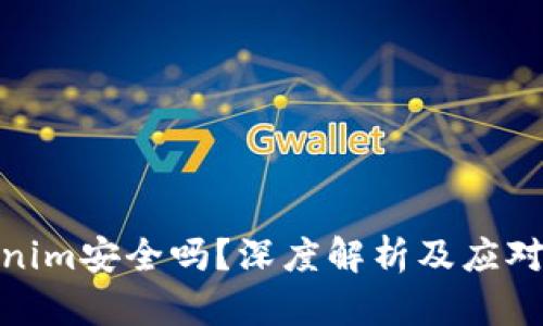 Tokenim安全吗？深度解析及应对策略