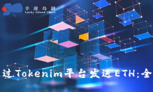 如何通过Tokenim平台发送ETH：全面指南