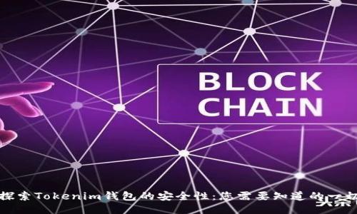 探索Tokenim钱包的安全性：您需要知道的一切