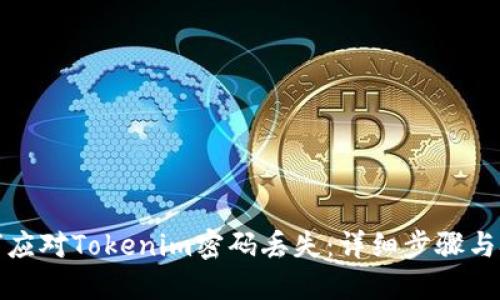 如何应对Tokenim密码丢失：详细步骤与技巧