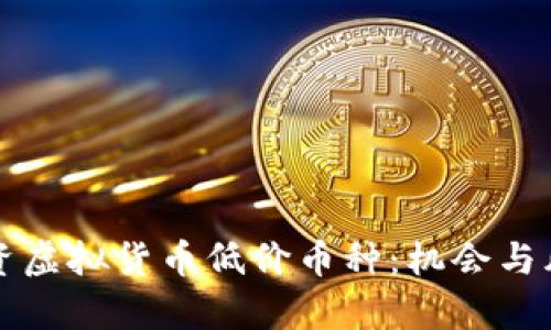如何投资虚拟货币低价币种：机会与风险分析