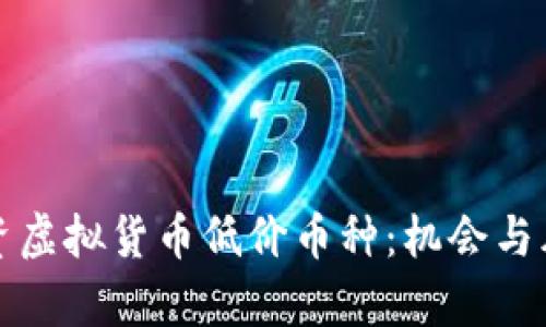 如何投资虚拟货币低价币种：机会与风险分析