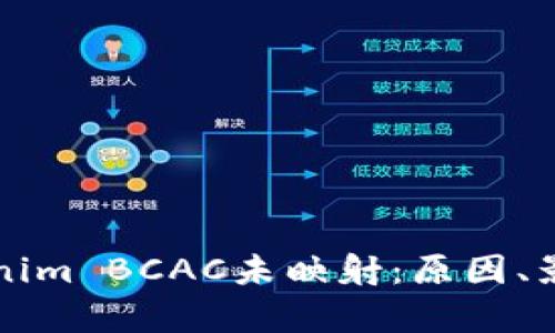 深入解析Tokenim BCAC未映射：原因、影响及解决方案