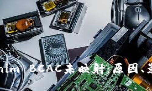 深入解析Tokenim BCAC未映射：原因、影响及解决方案