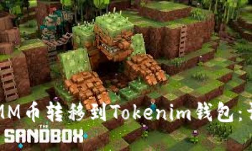 如何将MM币转移到Tokenim钱包：详细指南