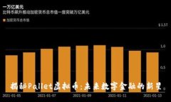 揭秘Pallet虚拟币：未来数
