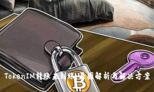 TokenIM转账未到账：原因解析与解决方案