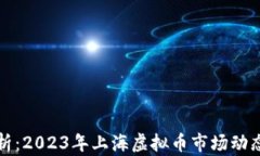 深入解析：2023年上海虚拟