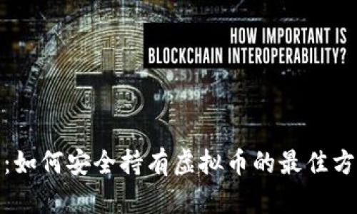 全面解析：如何安全持有虚拟币的最佳方法与策略