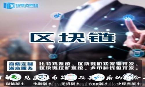 深入了解常见虚拟币简称及其背后的机会与风险