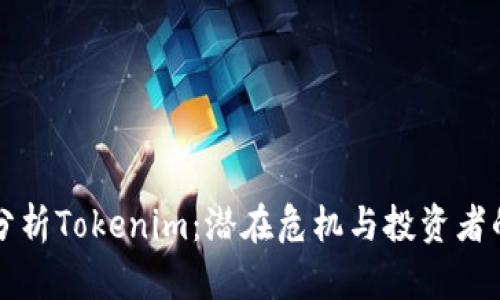 深入分析Tokenim：潜在危机与投资者的陷阱