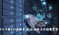 深入了解BSS虚拟币：潜力