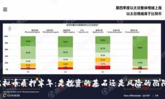 虚拟币质押半年：是投资