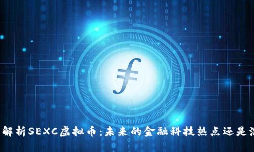 深度解析SEXC虚拟币：未来的金融科技热点还是泡沫？