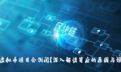  为什么虚拟币项目会倒闭