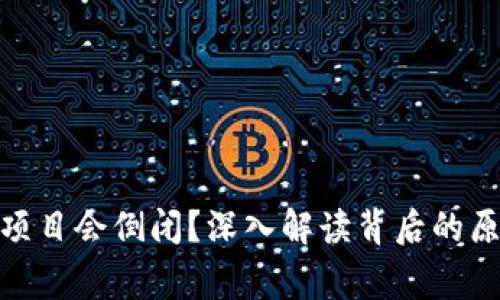  为什么虚拟币项目会倒闭？深入解读背后的原因与预警信号 