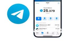 深入解析Tokenim的CFNC：功能