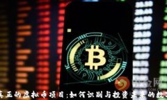 解析真正的虚拟币项目：