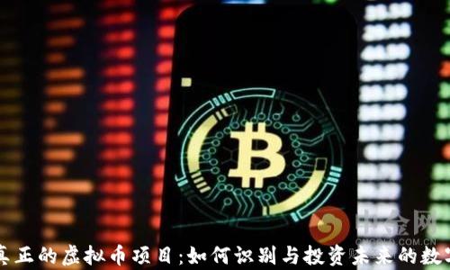 
解析真正的虚拟币项目：如何识别与投资未来的数字资产