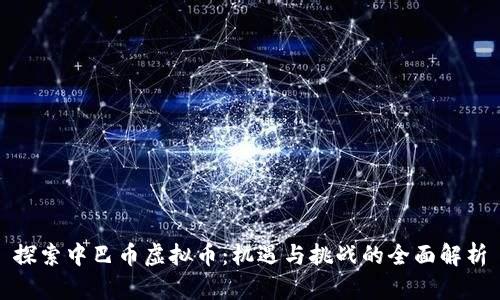 探索中巴币虚拟币：机遇与挑战的全面解析
