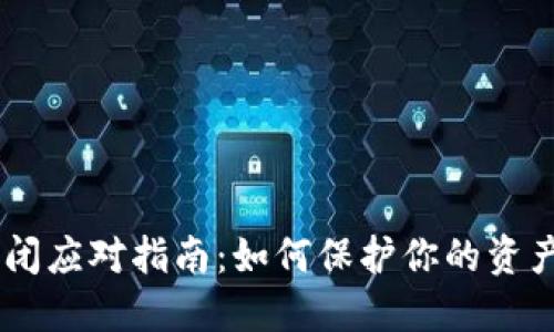 Tokenim 倒闭应对指南：如何保护你的资产与信息安全