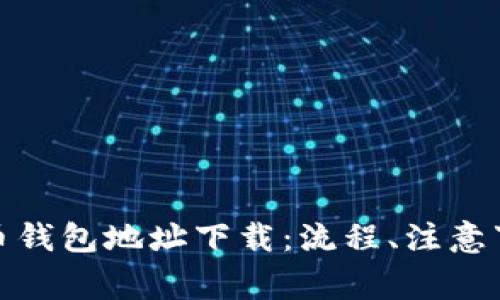 全面解读虚拟币钱包地址下载：流程、注意事项与安全策略