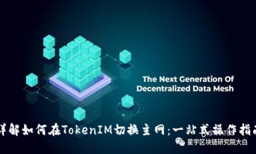 详解如何在TokenIM切换主网：一站式操作指南